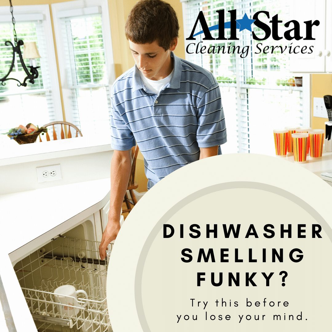 Dishwasher Cleaner, Get Rid of Dishwasher Smell