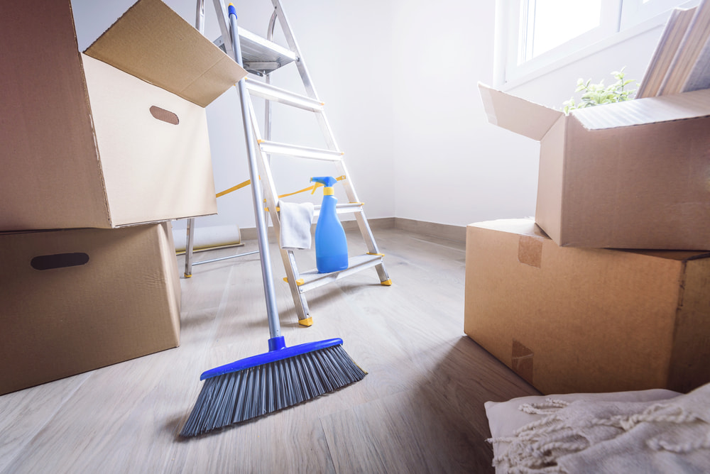 Where in Fort Collins, CO can I book a trustworthy move in cleaning service