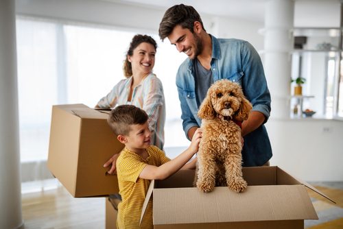Is moving stressful for pets