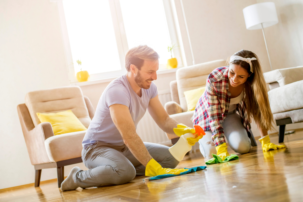 Which maid services are the most dependable in Windsor, CO?