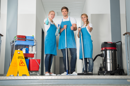 What is the difference between basic cleaning and professional cleaning